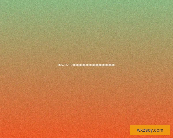 以95795163为核心的数字分析与应用探索，揭示其在数据处理中的潜力与价值